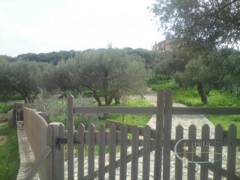 Archanes Kreta, Archanes: Haus in malerischem Dorf zu verkaufen Haus kaufen